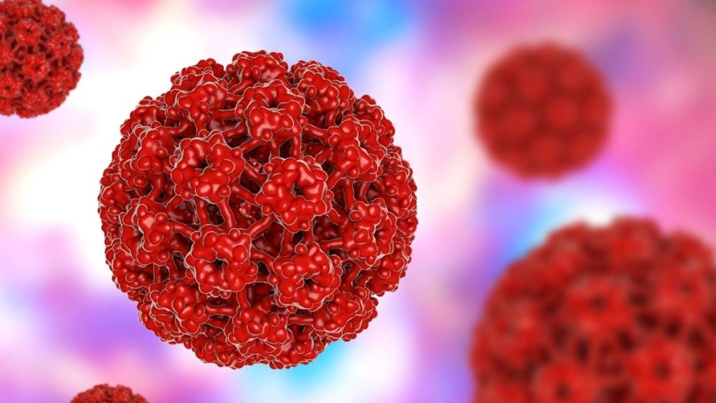 Illustrazione del papillomavirus umano, per illustrare hPV e disbiosi vaginale